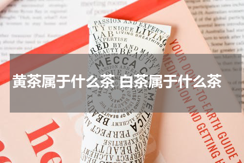 黄茶属于什么茶 白茶属于什么茶