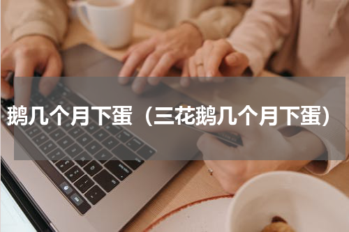 鹅几个月下蛋（三花鹅几个月下蛋）