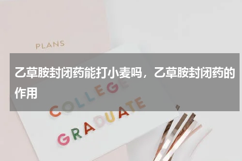 乙草胺封闭药能打小麦吗，乙草胺封闭药的作用