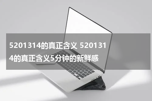 5201314的真正含义 5201314的真正含义5分钟的新鲜感