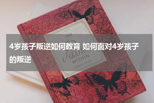 4岁孩子叛逆如何教育 如何面对4岁孩子的叛逆