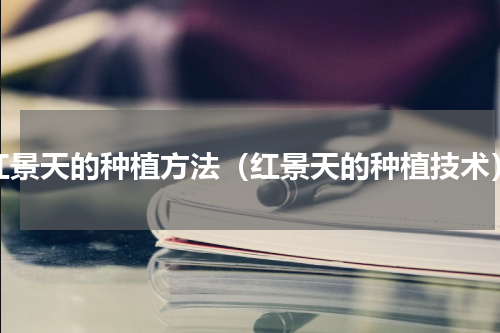 红景天的种植方法（红景天的种植技术）