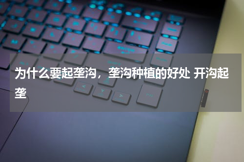 为什么要起垄沟，垄沟种植的好处 开沟起垄