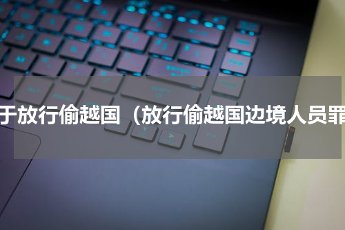 对于放行偷越国（放行偷越国边境人员罪）