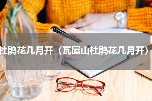 杜鹃花几月开（瓦屋山杜鹃花几月开）