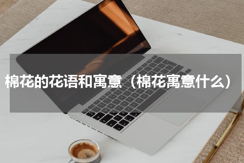 棉花的花语和寓意（棉花寓意什么）