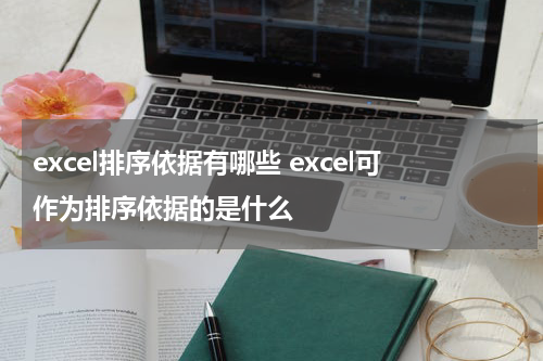 excel排序依据有哪些 excel可作为排序依据的是什么