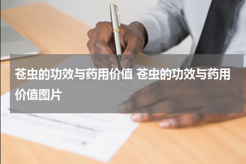 苍虫的功效与药用价值 苍虫的功效与药用价值图片