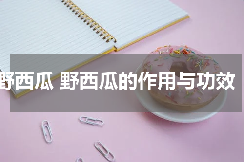 野西瓜 野西瓜的作用与功效