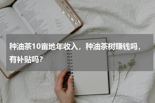 种油茶10亩地年收入，种油茶树赚钱吗，有补贴吗？