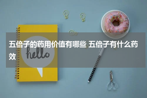 五倍子的药用价值有哪些 五倍子有什么药效