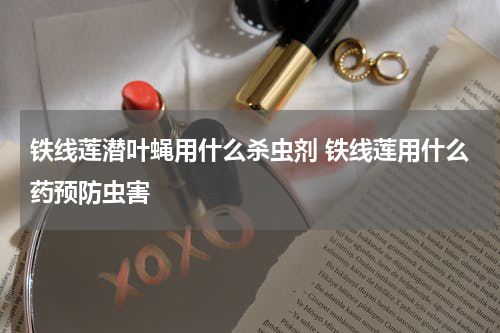 铁线莲潜叶蝇用什么杀虫剂 铁线莲用什么药预防虫害