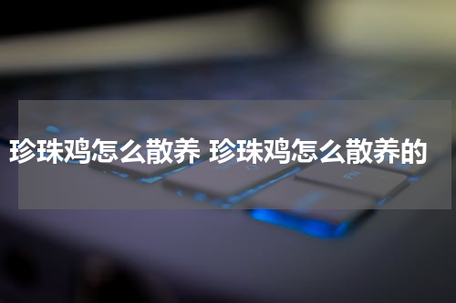珍珠鸡怎么散养 珍珠鸡怎么散养的