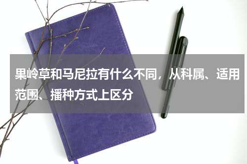 果岭草和马尼拉有什么不同，从科属、适用范围、播种方式上区分
