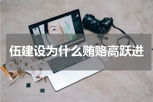 伍建设为什么贿赂高跃进