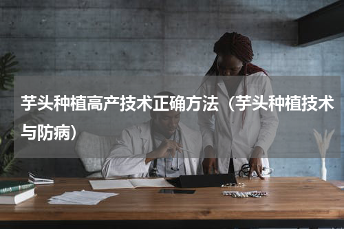 芋头种植高产技术正确方法（芋头种植技术与防病）