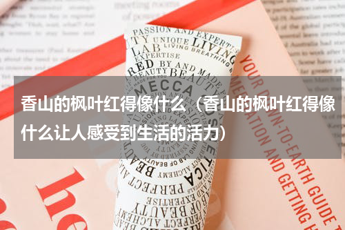 香山的枫叶红得像什么（香山的枫叶红得像什么让人感受到生活的活力）