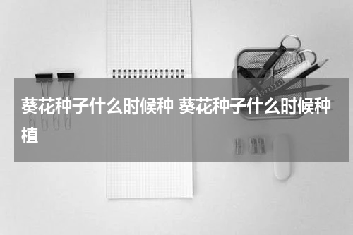 葵花种子什么时候种 葵花种子什么时候种植