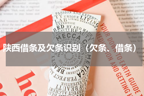陕西借条及欠条识别（欠条、借条）