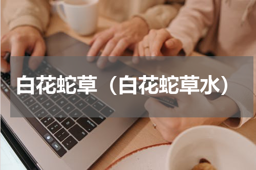 白花蛇草（白花蛇草水）