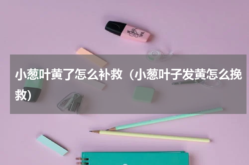 小葱叶黄了怎么补救（小葱叶子发黄怎么挽救）