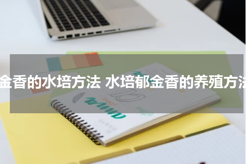 郁金香的水培方法 水培郁金香的养殖方法