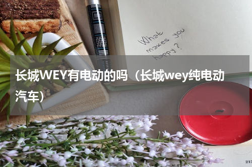 长城WEY有电动的吗（长城wey纯电动汽车）