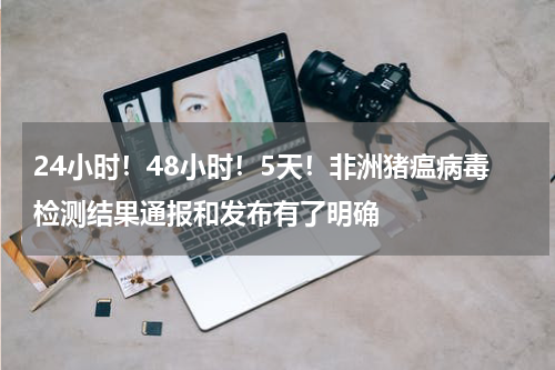 24小时！48小时！5天！非洲猪瘟病毒检测结果通报和发布有了明确