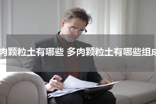 多肉颗粒土有哪些 多肉颗粒土有哪些组成
