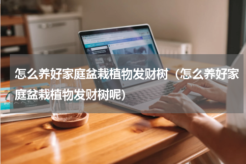 怎么养好家庭盆栽植物发财树（怎么养好家庭盆栽植物发财树呢）