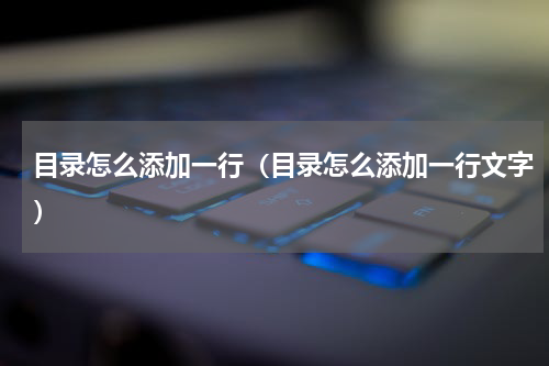 目录怎么添加一行（目录怎么添加一行文字）