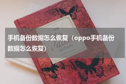 手机备份数据怎么恢复（oppo手机备份数据怎么恢复）