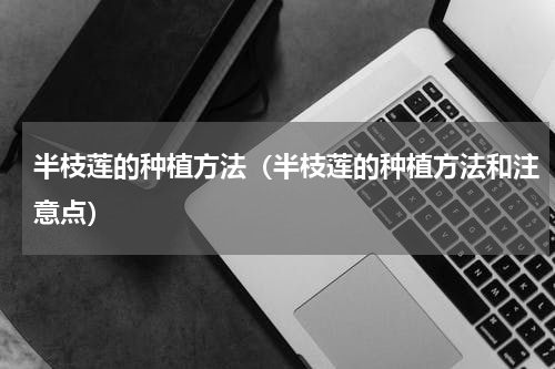 半枝莲的种植方法（半枝莲的种植方法和注意点）