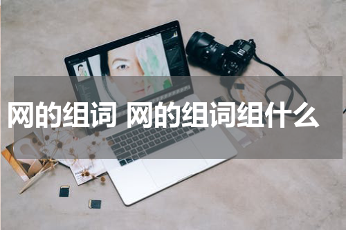 网的组词 网的组词组什么