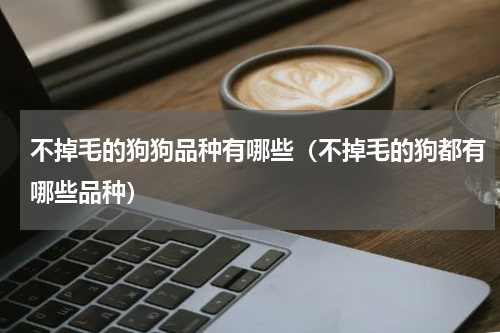 不掉毛的狗狗品种有哪些（不掉毛的狗都有哪些品种）