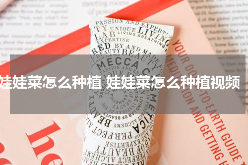 娃娃菜怎么种植 娃娃菜怎么种植视频