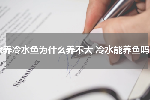 家养冷水鱼为什么养不大 冷水能养鱼吗