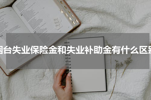 烟台失业保险金和失业补助金有什么区别