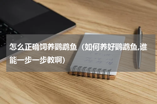 怎么正确饲养鹦鹉鱼（如何养好鹦鹉鱼,谁能一步一步教啊）
