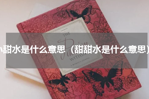 小甜水是什么意思（甜甜水是什么意思）