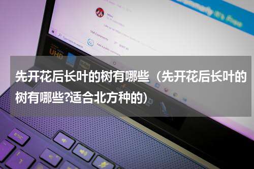 先开花后长叶的树有哪些（先开花后长叶的树有哪些?适合北方种的）