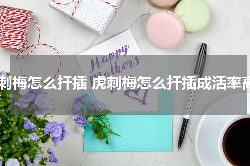 虎刺梅怎么扦插 虎刺梅怎么扦插成活率高