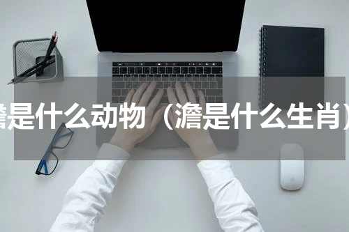 澹是什么动物（澹是什么生肖）