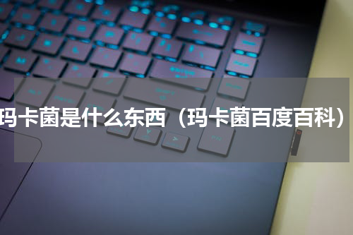 玛卡菌是什么东西（玛卡菌百度百科）