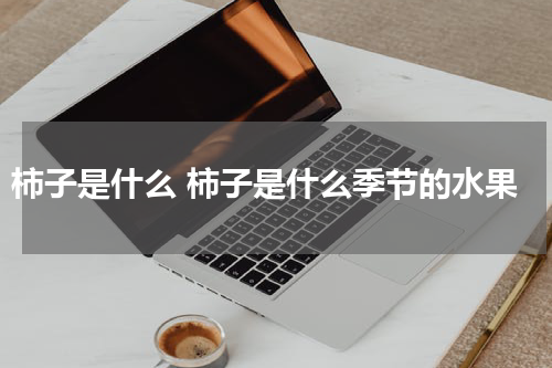 柿子是什么 柿子是什么季节的水果