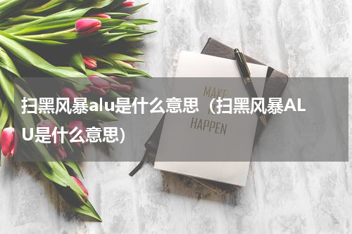 扫黑风暴alu是什么意思（扫黑风暴ALU是什么意思）