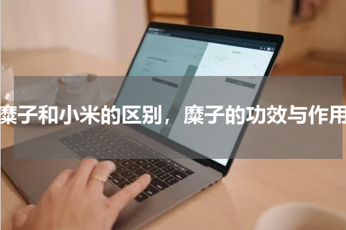 糜子和小米的区别，糜子的功效与作用