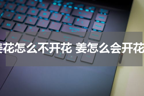 姜花怎么不开花 姜怎么会开花