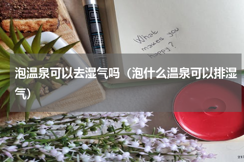 泡温泉可以去湿气吗（泡什么温泉可以排湿气）