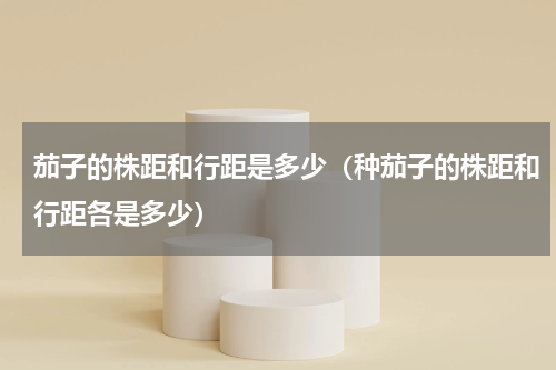 茄子的株距和行距是多少（种茄子的株距和行距各是多少）